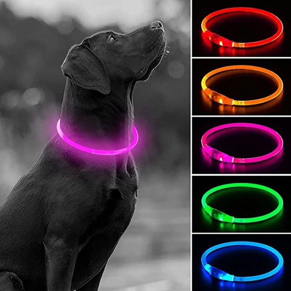 Petspuff USB Rechargeable LED Dog Collar – Glow Safety Light for Night Walks | Cut to Fit