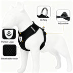 Petspuff Air Mesh Harness & Lead Set – Reflective Breathable Vest Harness | Small Dogs & Cats