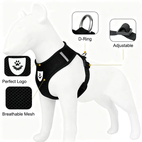 Petspuff Air Mesh Harness & Lead Set – Reflective Breathable Vest Harness | Small Dogs & Cats