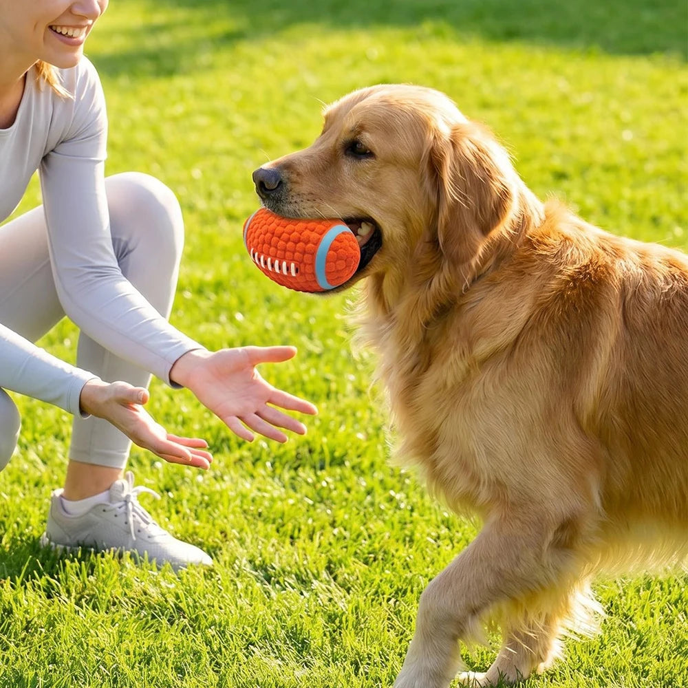 Petspuff Squeaky Latex Dog Ball – Football, Volleyball & Rugby Ball Toys | Small to Large Dogs