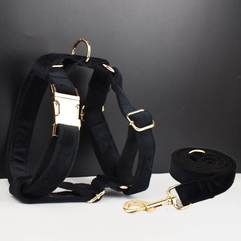 Petspuff Personalised Velvet Dog Harness & Lead Set – Heavy-Duty Metal Hardware | Many Colours - Petspuff