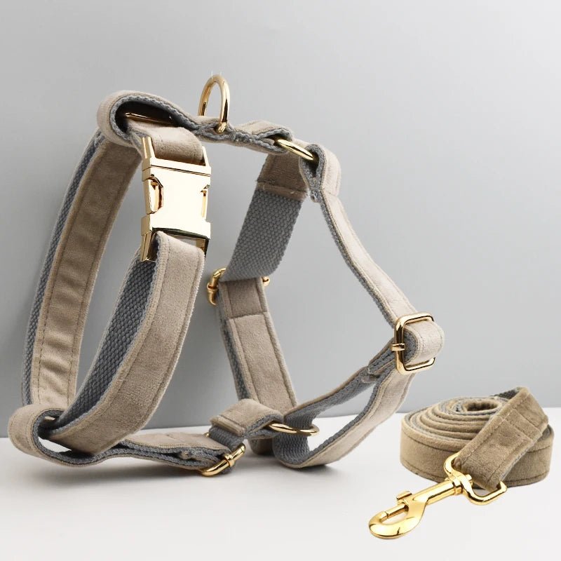 Petspuff Personalised Dog Harness & Lead Set with Poop Bag Holder – Engraved Name Tag | 19 Designs - Petspuff