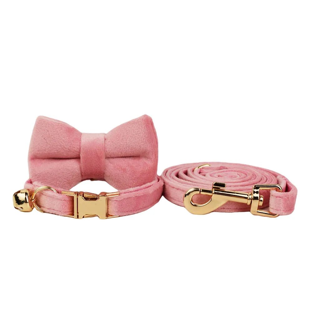 Petspuff Personalised Bow Cat Collar & Lead with Bell – Engraved ID Tag | 7 Colours