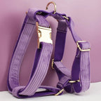 Petspuff Personalised Corduroy Dog Collar & Lead Set – Engraved Name Tag, Bow, Harness & Poop Bag