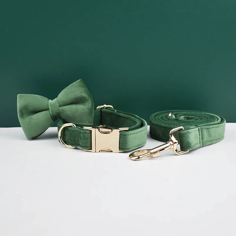 Petspuff Personalised Velvet Dog Collar with Gold Buckle, Bow Tie & Lead – Engraved Name Tag