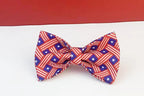 Petspuff Flag Print Cotton Dog Collar, Harness & Lead Set with Bow – XS–XL
