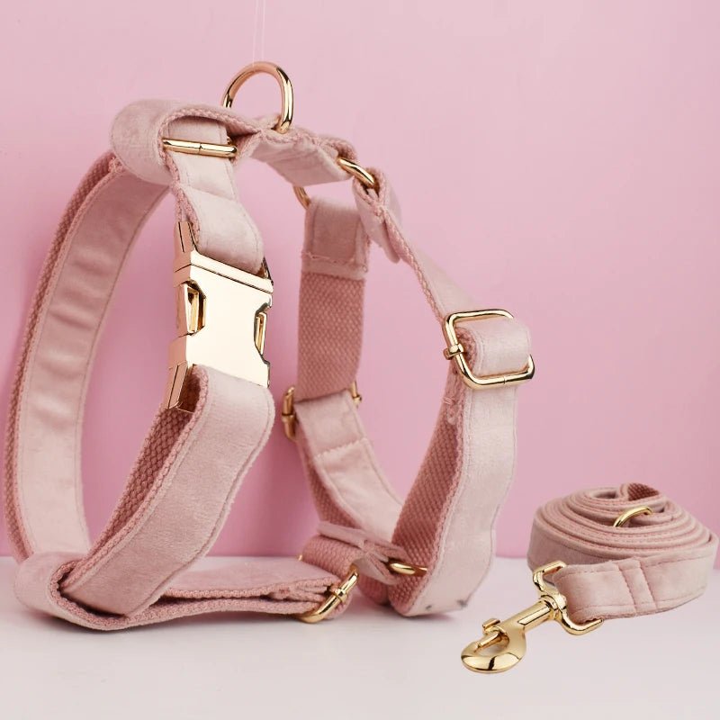 Petspuff Personalised Velvet Dog Harness & Lead Set – Heavy-Duty Metal Hardware | Many Colours - Petspuff