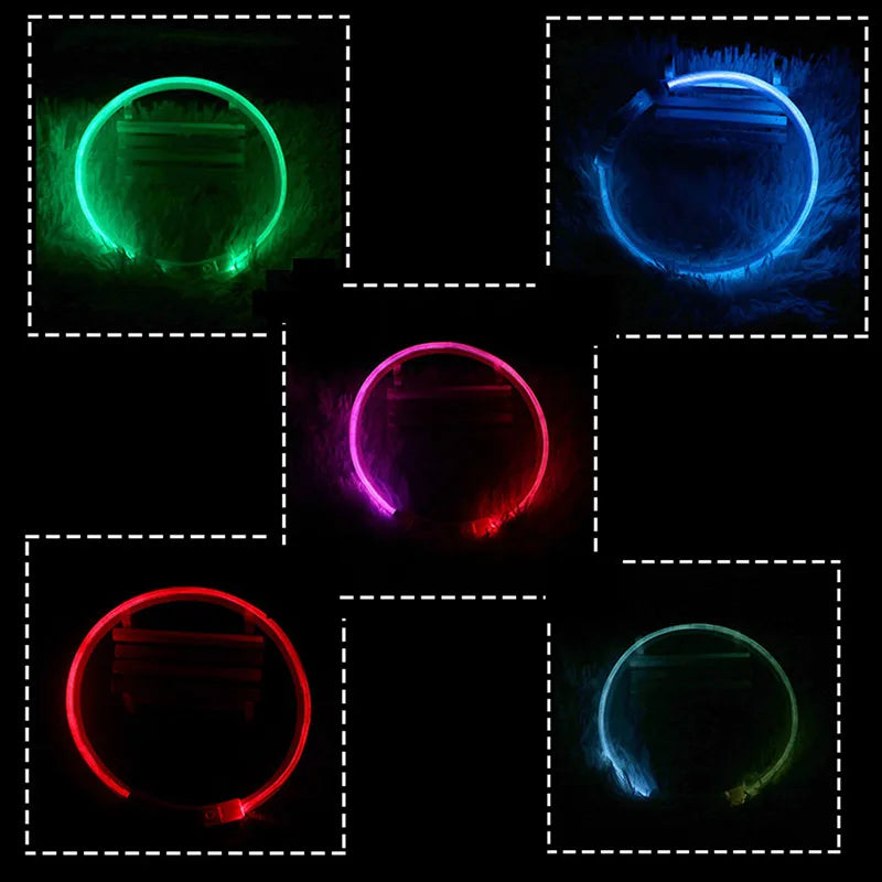 Petspuff USB Rechargeable LED Dog Collar – Glow Safety Light for Night Walks | Cut to Fit