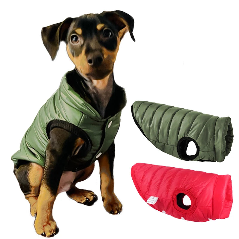Petspuff Lightweight Dog Vest Jacket – Autumn & Winter Coat | Small & Medium Dogs and Cats