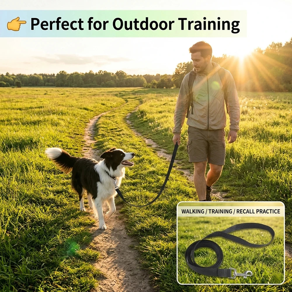 Petspuff Long Dog Training Lead – Strong Nylon Recall Line 1.5m to 50m | All Dogs