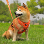 Petspuff Daisy Reflective No-Pull Dog Harness – Padded Vest Harness | Medium & Large Dogs