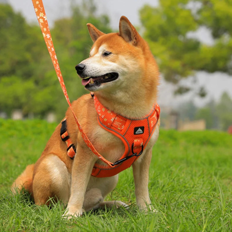 Petspuff Daisy Reflective No-Pull Dog Harness – Padded Vest Harness | Medium & Large Dogs