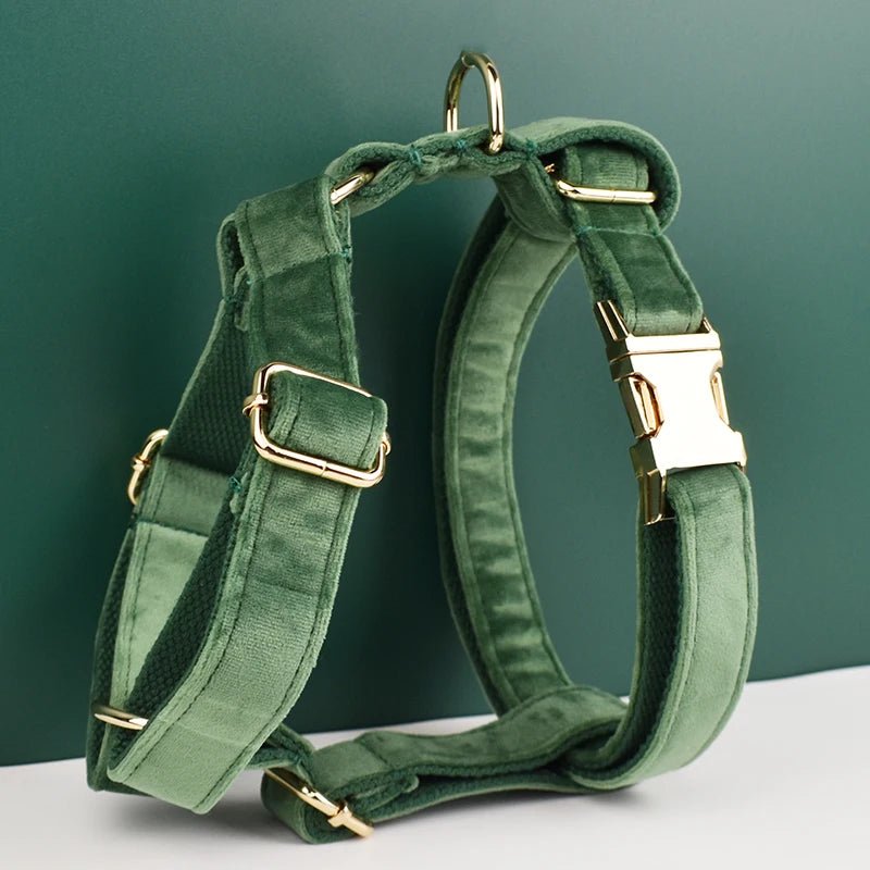 Petspuff Personalised Forest Green Velvet Dog Collar & Lead Set – Engraved Name Tag, Bow & Harness - Petspuff