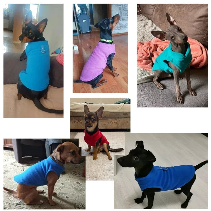 Petspuff Quilted Fleece Dog Jacket with D-Ring – Warm Winter Vest | Small Dogs & Cats