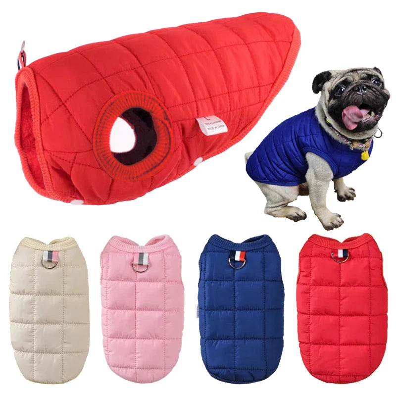 Petspuff Padded Cotton Dog Jacket – Warm Winter Coat | Small & Medium Dogs and Cats