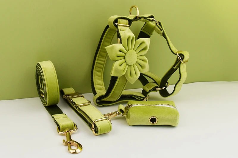 Petspuff Personalised Avocado Green Velvet Dog Collar & Lead Set – Engraved Name Tag, Bow & Harness - Petspuff