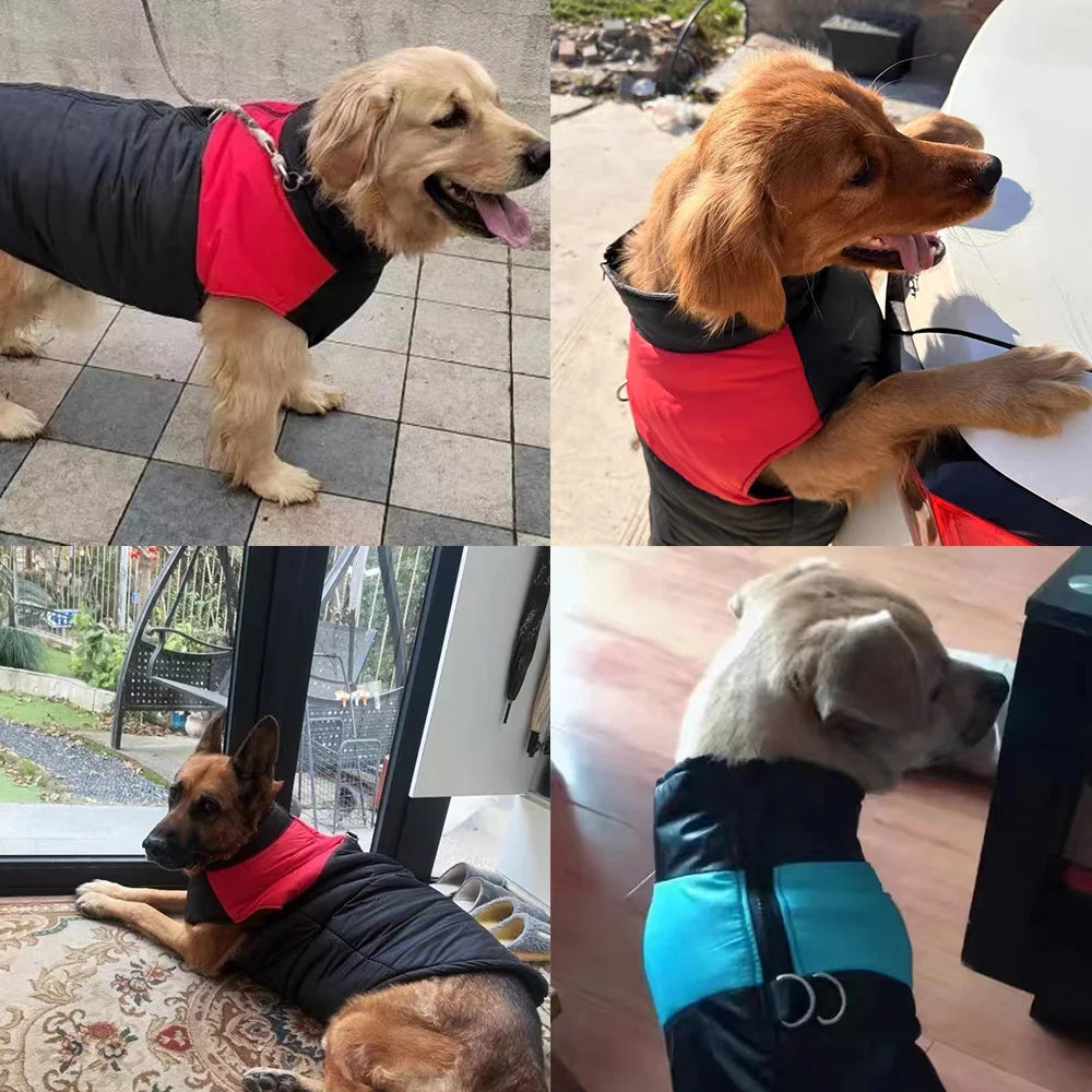 Petspuff Waterproof Dog Coat Vest – Fleece-Lined Winter Jacket with D-Ring | Small to Extra-Large Dogs