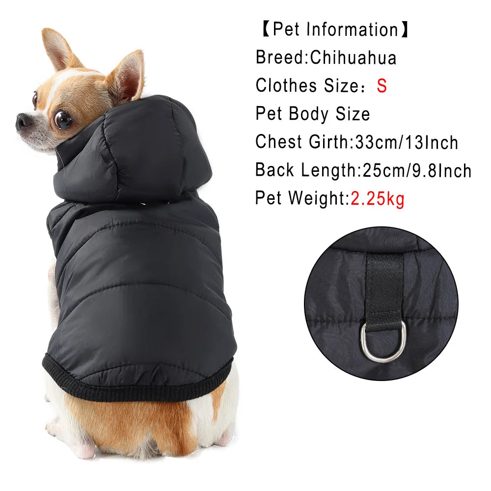 Petspuff Waterproof Cat Hoodie Jacket – Fleece-Lined Winter Coat with D-Ring | Cats & Small Dogs