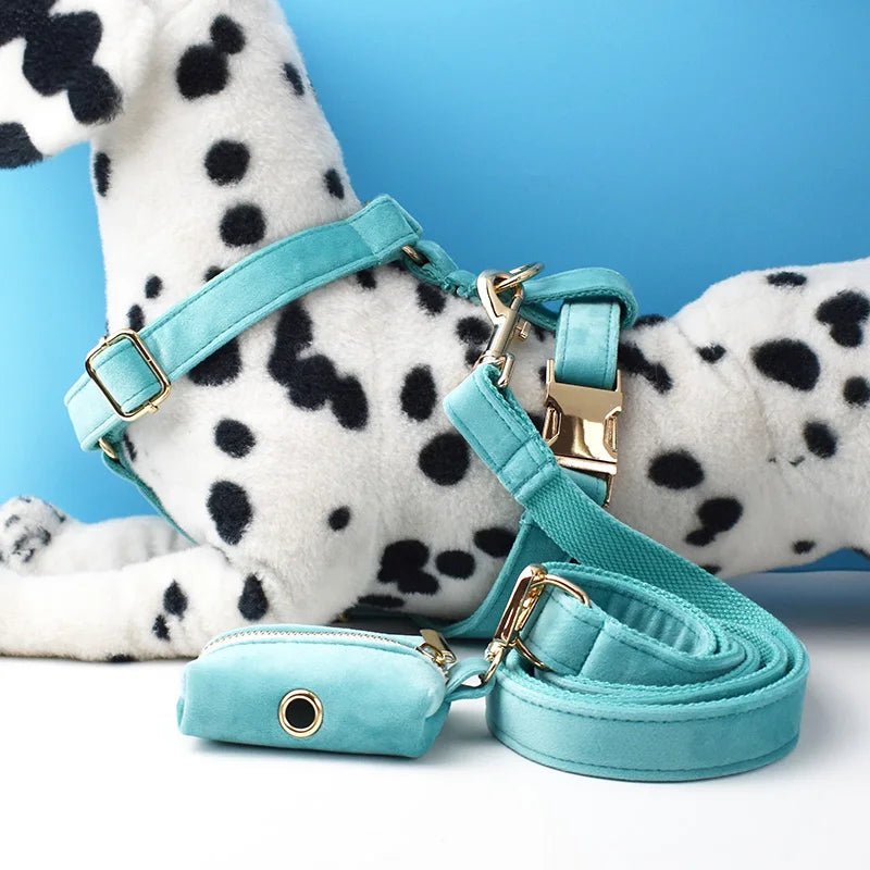 Petspuff Personalised Dog Harness & Lead Set with Poop Bag Holder – Engraved Name Tag | 19 Designs - Petspuff