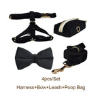 Petspuff Personalised Black Velvet Dog Collar & Lead Set – Engraved Name Tag, Bow & Harness