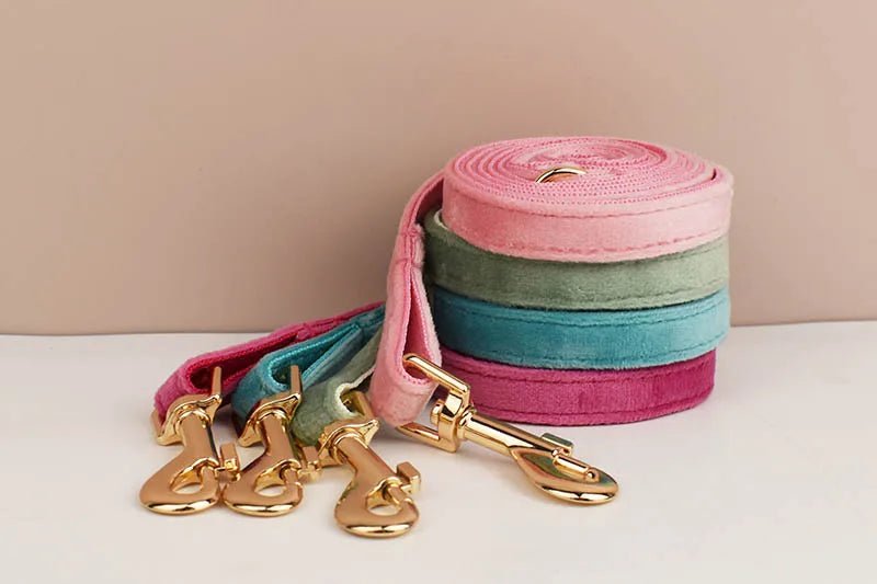 Petspuff Personalised Bow Cat Collar & Lead with Bell – Engraved ID Tag | 7 Colours
