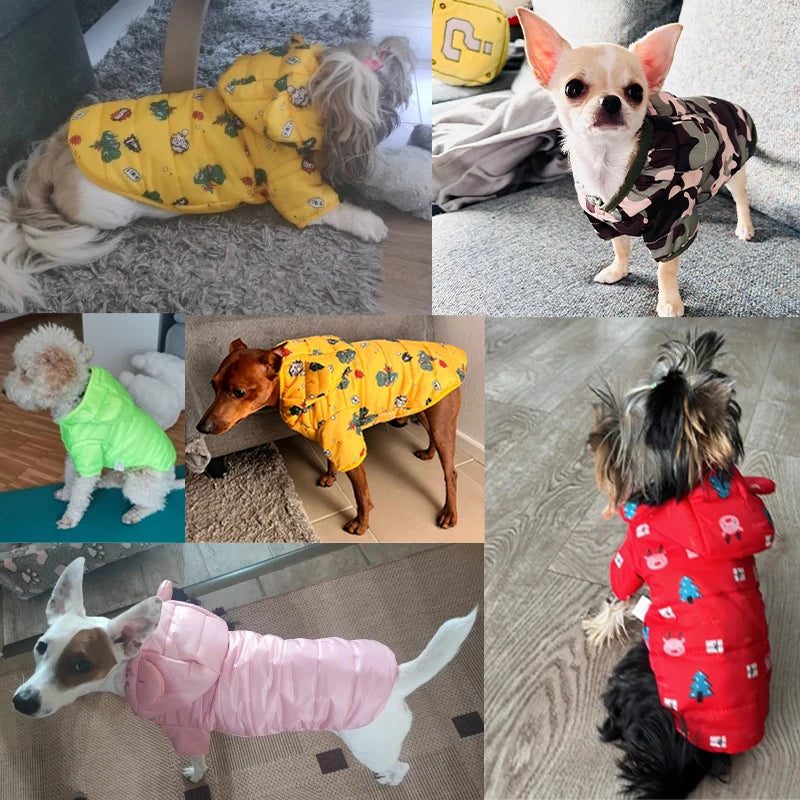 Petspuff Windproof Padded Dog Puffer Jacket – Warm Winter Coat | Small & Medium Dogs and Cats