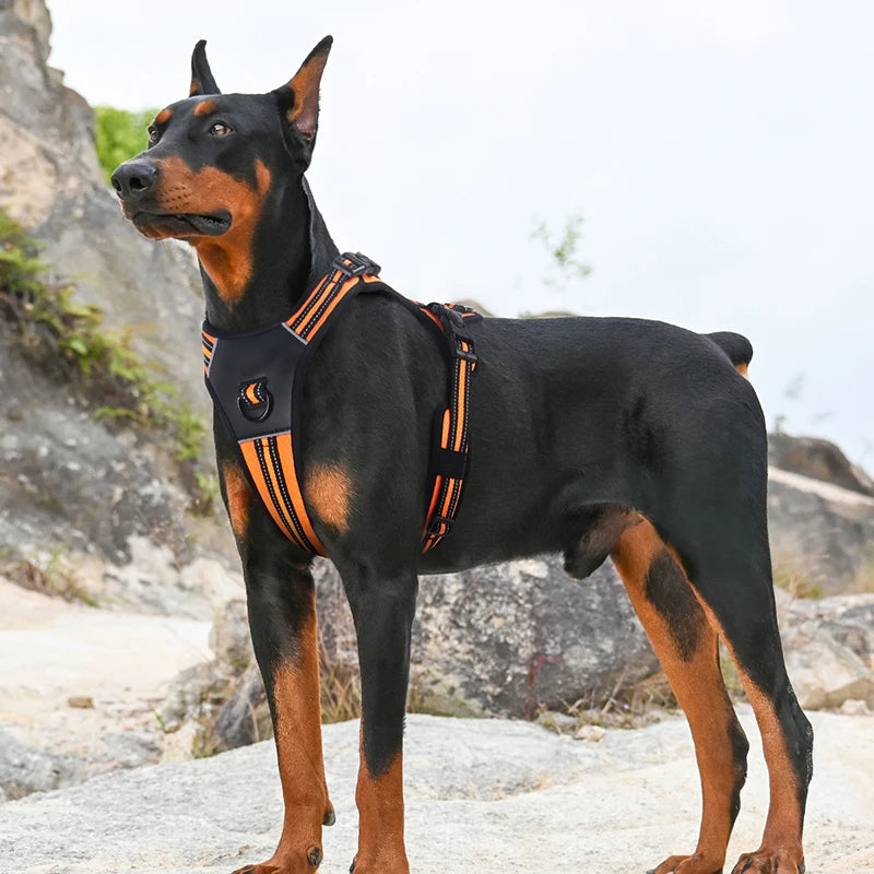 Petspuff Reflective Padded Dog Harness – Adjustable Vest Harness | Medium & Large Dogs