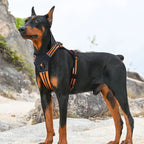 Petspuff Reflective Padded Dog Harness – Adjustable Vest Harness | Medium & Large Dogs