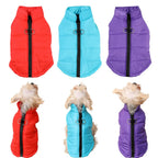 Petspuff Outdoor Camping Dog Jacket – Windproof Warm Coat with D-Ring | Small & Medium Dogs
