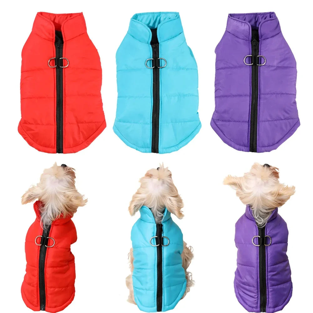 Petspuff Outdoor Camping Dog Jacket – Windproof Warm Coat with D-Ring | Small & Medium Dogs