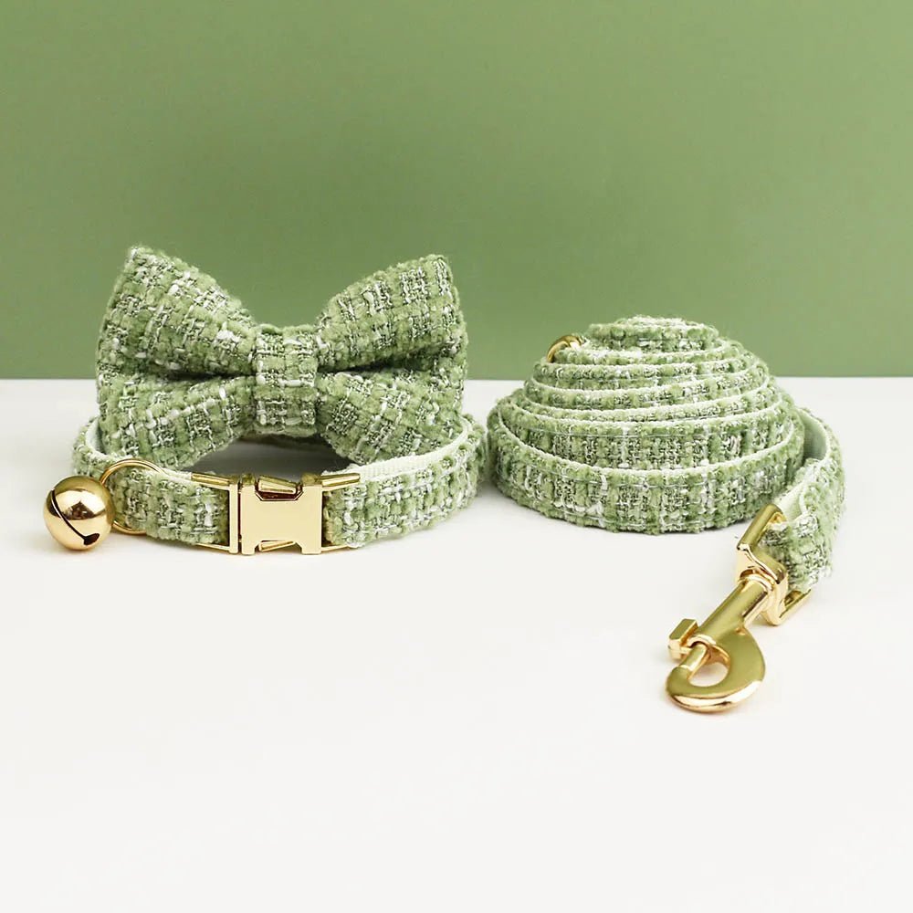 Petspuff Personalised Cat Collar & Lead Set with Bell – Engraved ID Tag | Kittens & Cats