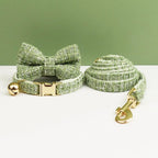 Petspuff Personalised Cat Collar & Lead Set with Bell – Engraved ID Tag | Kittens & Cats