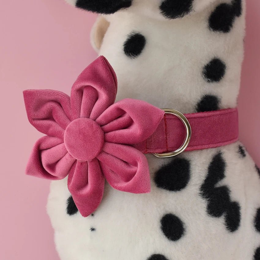 Petspuff Velvet Dog Collar & Lead with Flower or Bow – Soft & Durable for Medium & Large Dogs | S–XL