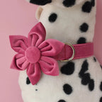 Petspuff Velvet Dog Collar & Lead with Flower or Bow – Soft & Durable for Medium & Large Dogs | S–XL