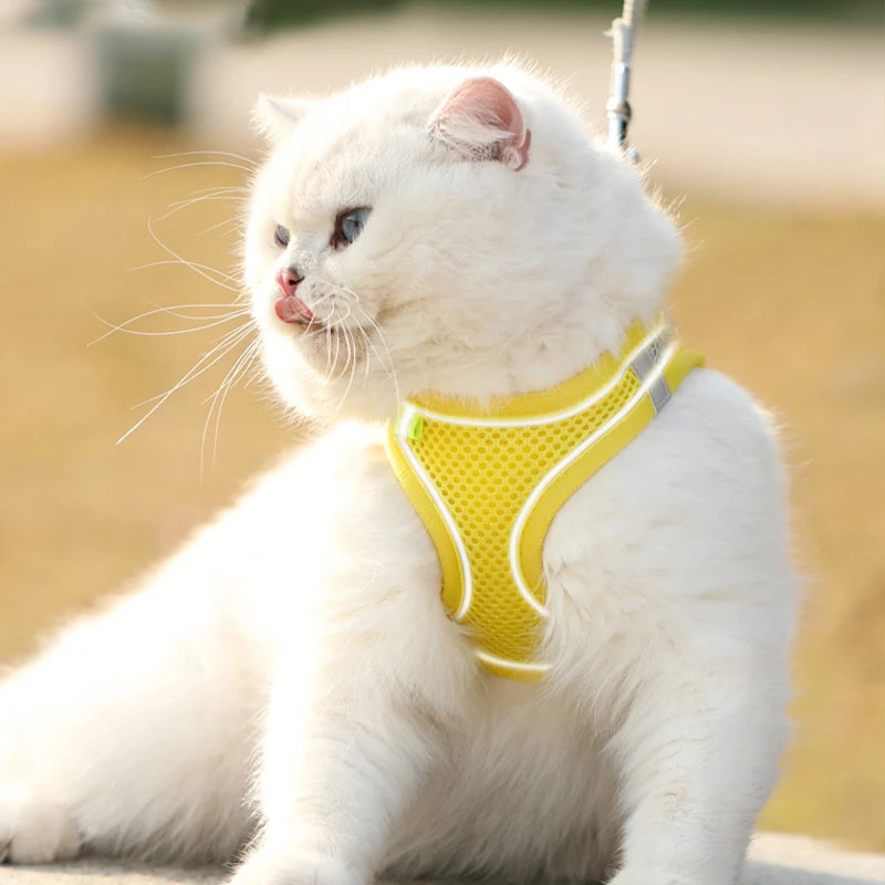 Petspuff Breathable Mesh Harness & Lead Set – Soft Vest Harness | Small Dogs, Puppies & Cats