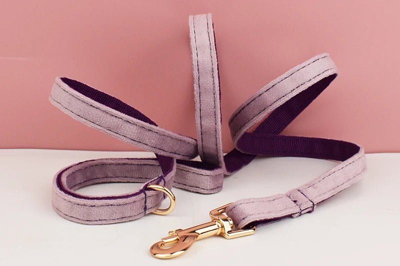 Petspuff Personalised Bow Cat Collar & Lead with Bell – Engraved ID Tag | 7 Colours