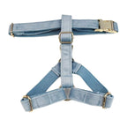 Petspuff Personalised Nordic Blue Velvet Dog Collar & Lead Set – Engraved Name Tag, Bow & Harness