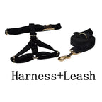 Petspuff Personalised Black Velvet Dog Collar & Lead Set – Engraved Name Tag, Bow & Harness