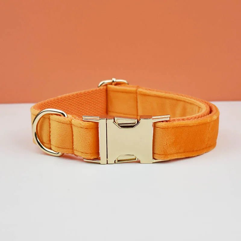 Petspuff Personalised Velvet Dog Collar with Gold Buckle, Bow Tie & Lead – Engraved Name Tag