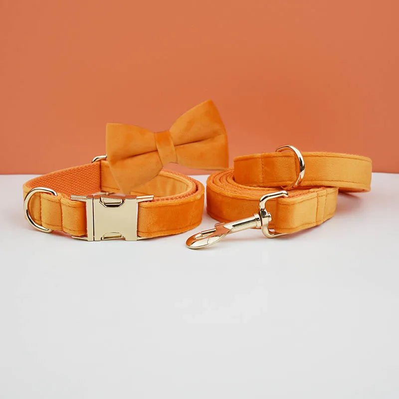 Petspuff Personalised Velvet Dog Collar with Gold Buckle, Bow Tie & Lead – Engraved Name Tag