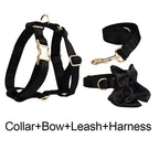 Petspuff Personalised Printed Satin Dog Collar & Lead Set – Engraved Name Tag, Bow & Harness - Petspuff