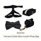 Petspuff Personalised Black Velvet Dog Collar & Lead Set – Engraved Name Tag, Bow & Harness