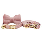 Petspuff Personalised Bow Cat Collar & Lead with Bell – Engraved ID Tag | 7 Colours