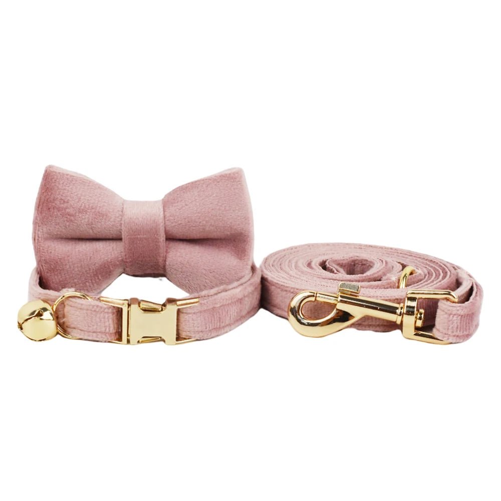 Petspuff Personalised Bow Cat Collar & Lead with Bell – Engraved ID Tag | 7 Colours