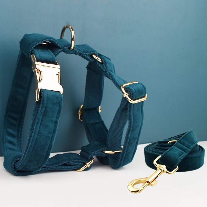 Petspuff Personalised Dog Harness & Lead Set with Poop Bag Holder – Engraved Name Tag | 19 Designs - Petspuff