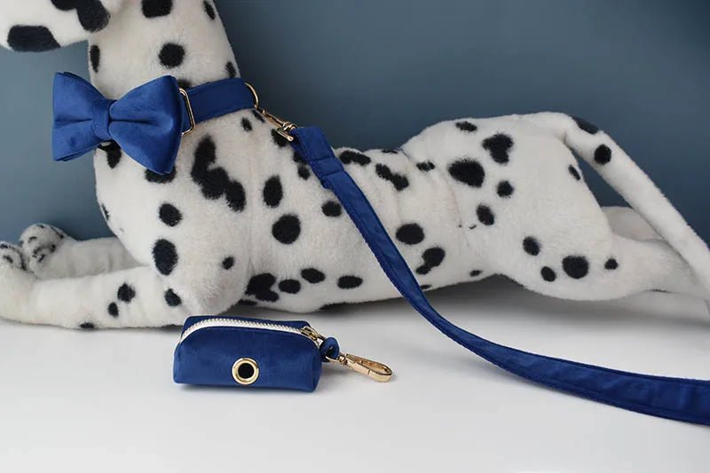 Petspuff Personalised Velvet Dog Collar, Lead & Poop Bag Holder – Engraved Name & Phone | French Bulldog