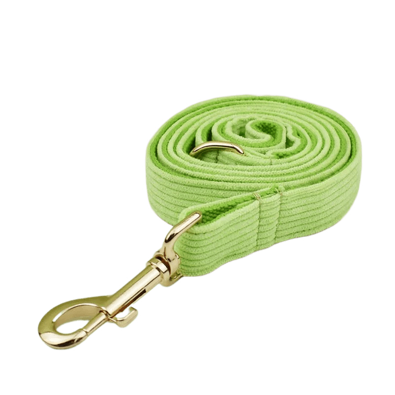 Petspuff Personalised Apple Green Corduroy Dog Collar & Lead Set – Engraved Name Tag, Bow & Harness