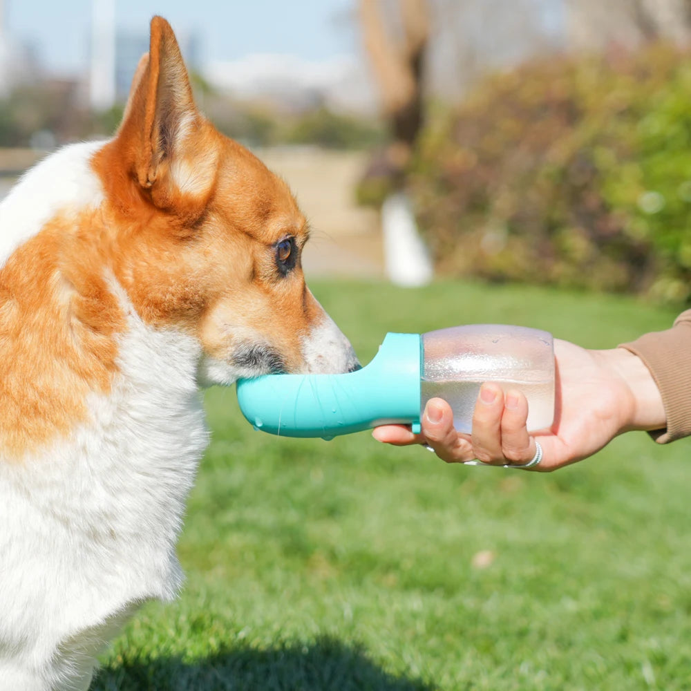 Petspuff 300ml Dog Water Bottle – Frosted Leakproof Walking Bottle | Dogs & Cats