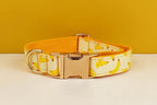 Petspuff Personalised Banana Print Dog Collar, Harness & Lead Set – Engraved Name Tag & Bow