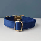 Petspuff Personalised Velvet Dog Collar, Lead & Poop Bag Holder – Engraved Name & Phone | French Bulldog